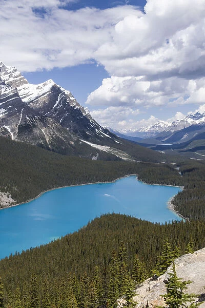 Banff National Park, Alberta, Canada. Peyto Lake along the Icefields Parkway scenic drive