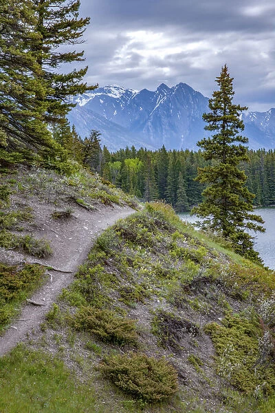 Banff National Park, Alberta, Canada. Path around Lake Louise