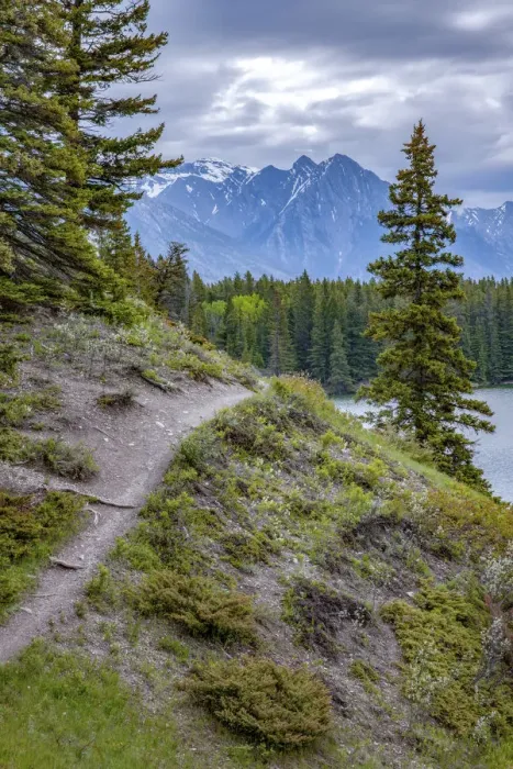 Framed Print : Banff National Park, Alberta, Canada. Path around Lake Louise Framed Print : Banff National Park, Alberta, Canada. Path around Lake Louise