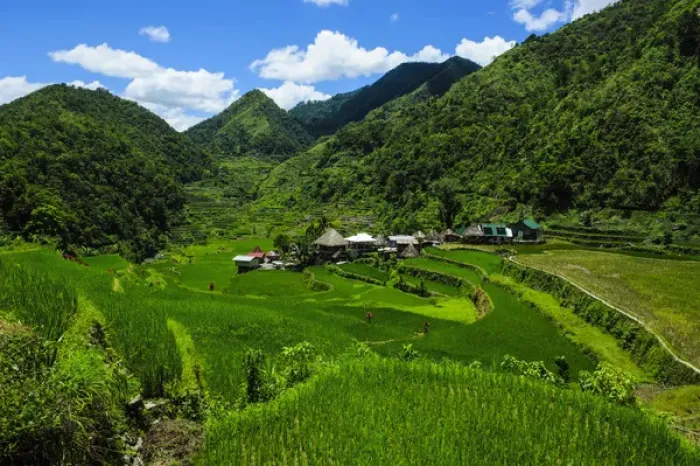 Framed Print : Bangaan in the rice terraces of Banaue, Northern Luzon, Philippines Framed Print : Bangaan in the rice terraces of Banaue, Northern Luzon, Philippines