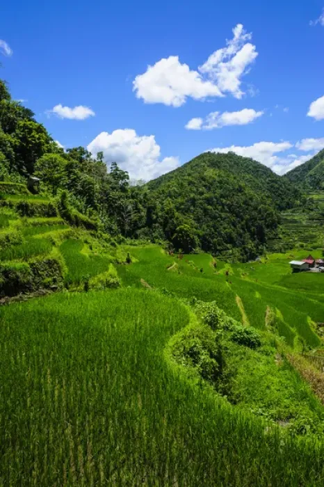 Framed Print : Bangaan in the rice terraces of Banaue, Northern Luzon, Philippines Framed Print : Bangaan in the rice terraces of Banaue, Northern Luzon, Philippines