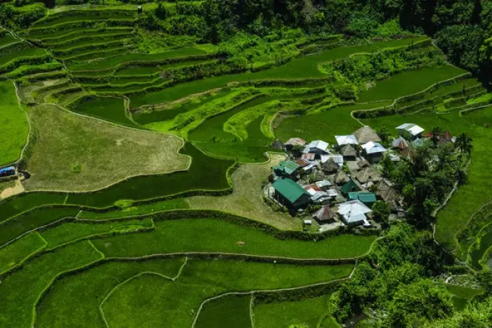 Framed Print : Bangaan in the rice terraces of Banaue, Northern Luzon, Philippines