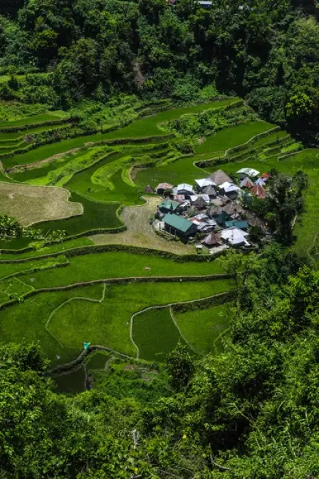 Framed Print : Bangaan in the rice terraces of Banaue, Northern Luzon, Philippines Framed Print : Bangaan in the rice terraces of Banaue, Northern Luzon, Philippines