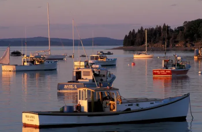 Framed Print : Bar Harbor, ME Fishing boats in Bar Harbor Framed Print : Bar Harbor, ME Fishing boats in Bar Harbor