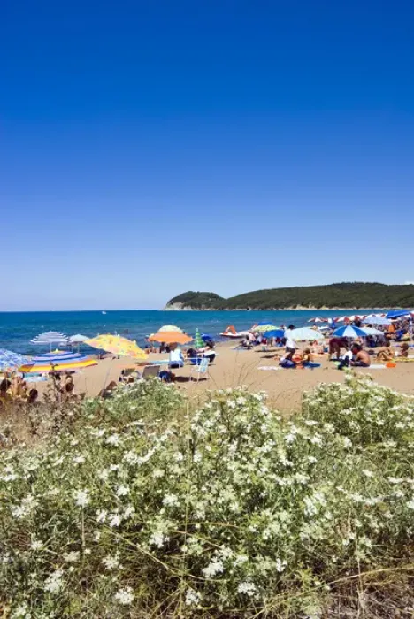 Framed Print : Baratti Populonia Beach, Baratti, Livorno Province, Tuscany, Italy Framed Print : Baratti Populonia Beach, Baratti, Livorno Province, Tuscany, Italy