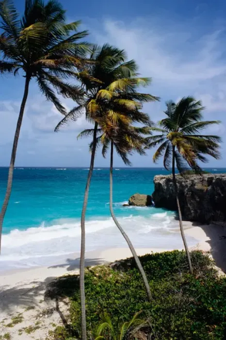 Framed Print : Barbados. Bottom bay Framed Print : Barbados. Bottom bay