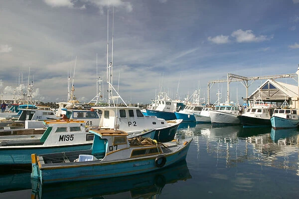 BARBADOS, Bridgetown, Detail of the Fishing Harbour