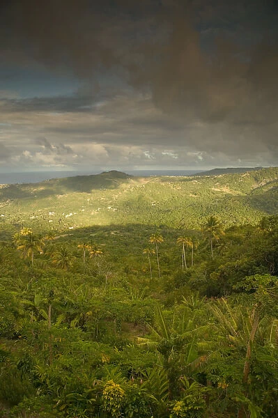 BARBADOS-Inland- Mount Hillaby: Late Afternoon from Barbados Highest Mountain