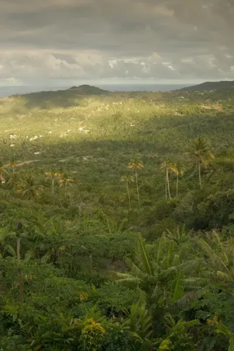 Framed Print : BARBADOS-Inland- Mount Hillaby: Late Afternoon from Barbados Highest Mountain