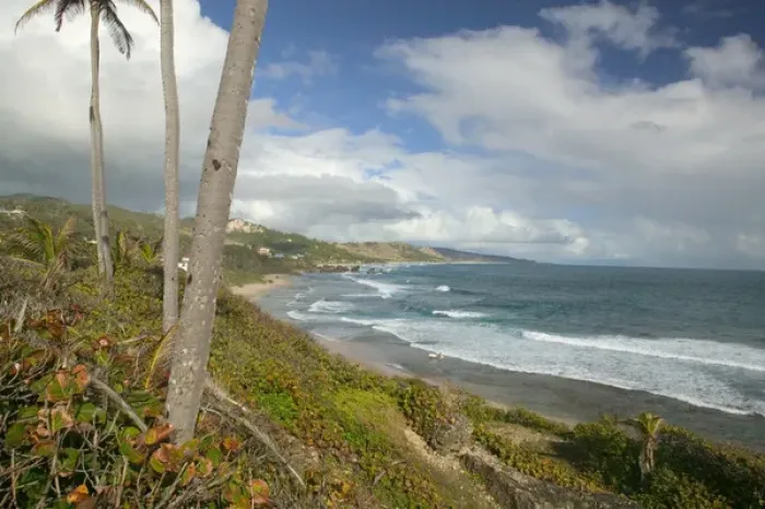 Framed Print : BARBADOS, North East Coast, Bathsheba, View of Soup Bowl Beach, Prime Barbados Surfing Framed Print : BARBADOS, North East Coast, Bathsheba, View of Soup Bowl Beach, Prime Barbados Surfing
