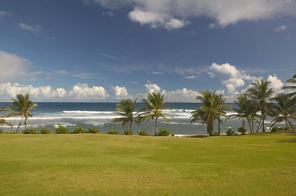 BARBADOS, North East Coast, Bathsheba, View of Soup Bowl Beach, Prime Barbados Surfing