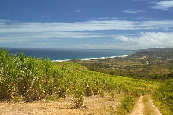 BARBADOS-North East Coast-Cherry Tree Hill: The Vista from Cherry Treet Hill