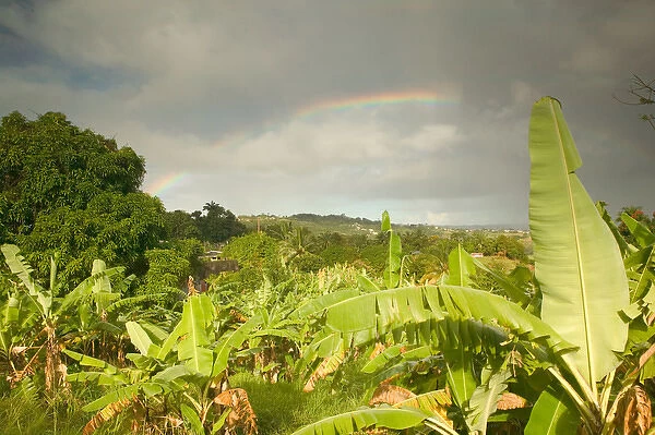 BARBADOS, St. Joseph Parish, Grey Clouds, Rainbow, Tropical Vegetation