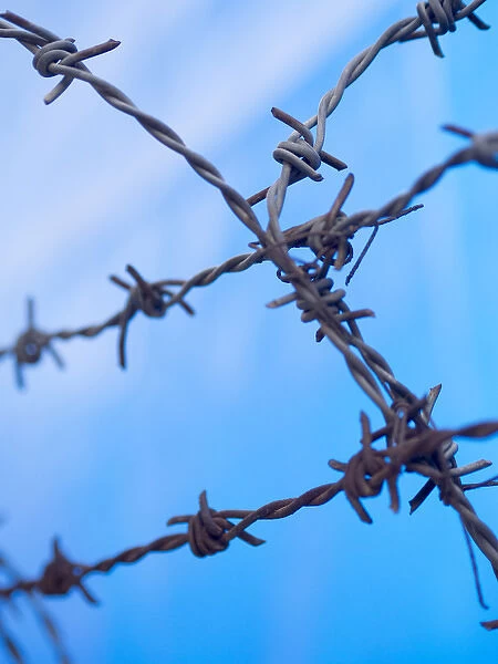 Barbed wire sticks out against the blue sky in Bangalore