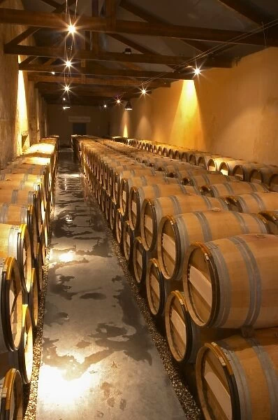 In the barrel ageing cellar: rows of barriques Chateau Kirwan, Cantenac Margaux Medoc