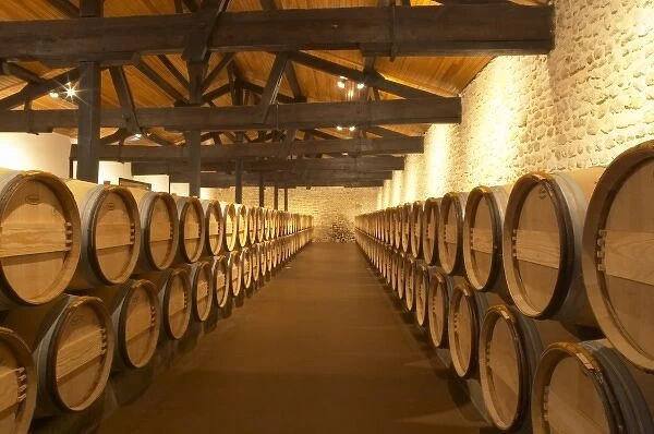 The barrel ageing cellar with rows of oak barriques Chateau Potensac Cru Bourgeois
