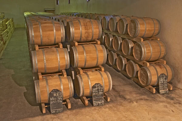 The barrel aging cellar, full of barriques - Chateau Belgrave, Haut-Medoc, Grand