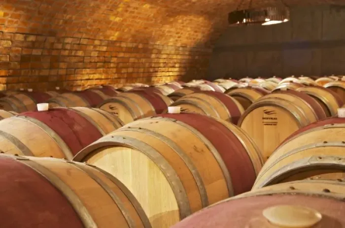Framed Print : The barrel aging cellar. Bodega Familia Schroeder Winery, also called Saurus, Neuquen