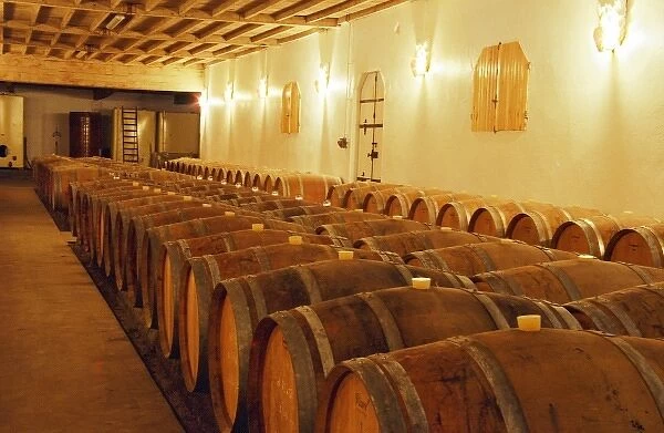 The barrel aging cellar at Chateau Caillou in Sauternes. Choteau Caillou, Barsac