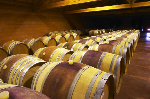 The barrel aging cellars with rows of oak barrels. All are painted red