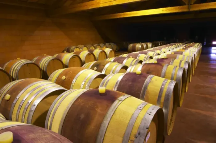 Framed Print : The barrel aging cellars with rows of oak barrels. All are painted red