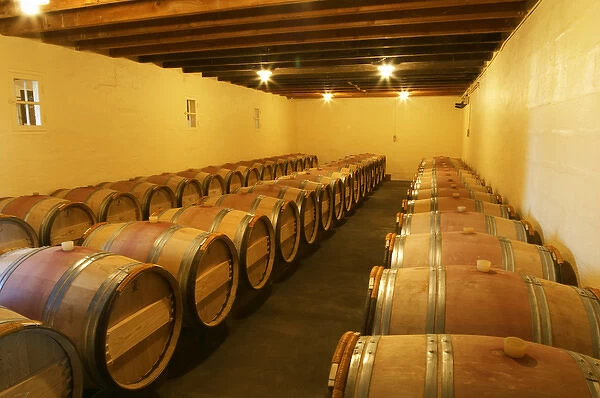 The barrel cellar for aging the wines in oak casks - Chateau La Grave Figeac, Saint Emilion