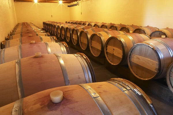 The barrel cellar for aging the wines in oak casks - Chateau La Grave Figeac, Saint Emilion