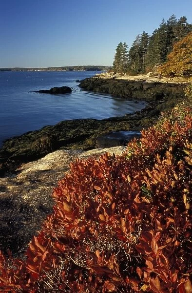 Barters Island, Boothbay, ME. Fall at the Porter Preserve on the Sheepscot River