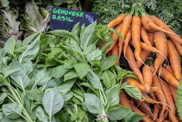 Framed Print : Basil and carrots at farmers market, USA Framed Print : Basil and carrots at farmers market, USA
