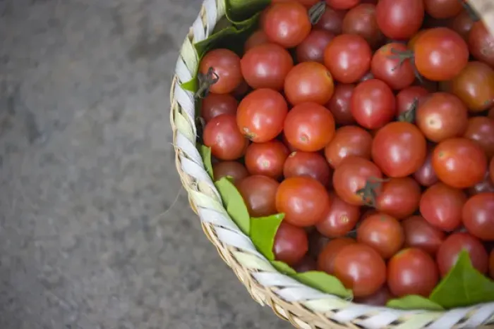 Framed Print : Basket of tomatoes, China Framed Print : Basket of tomatoes, China