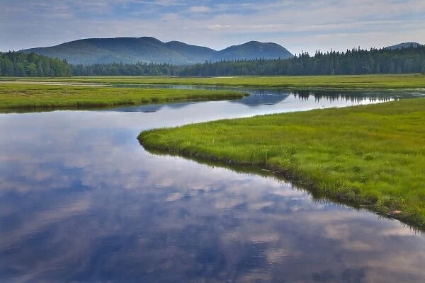 Bass Harbor Marsh in Acadia National Park, Maine, USA