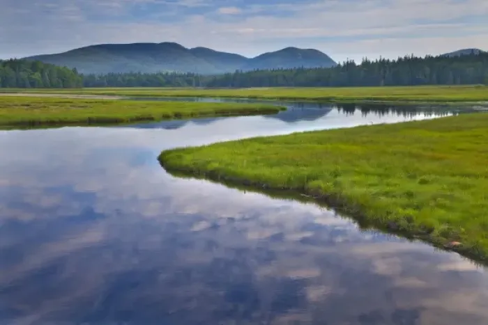 Framed Print : Bass Harbor Marsh in Acadia National Park, Maine, USA Framed Print : Bass Harbor Marsh in Acadia National Park, Maine, USA