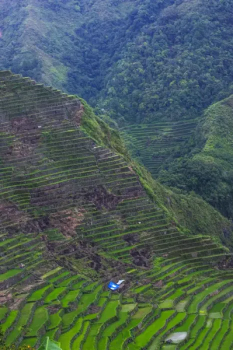 Framed Print : Batad rice terraces part of the world heritage sight Banaue, Luzon, Philippines Framed Print : Batad rice terraces part of the world heritage sight Banaue, Luzon, Philippines