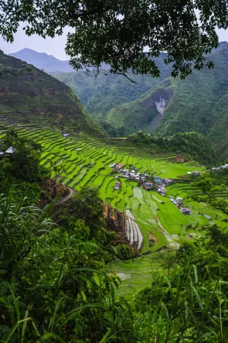 Framed Print : Batad rice terraces part of the world heritage sight Banaue, Luzon, Philippines Framed Print : Batad rice terraces part of the world heritage sight Banaue, Luzon, Philippines