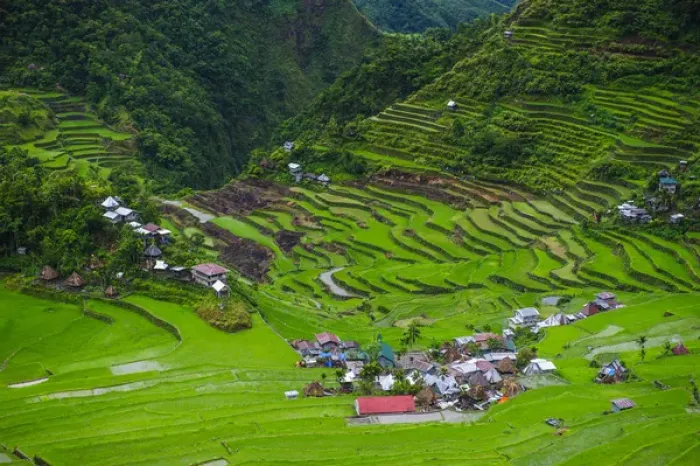 Framed Print : Batad rice terraces part of the world heritage sight Banaue, Luzon, Philippines Framed Print : Batad rice terraces part of the world heritage sight Banaue, Luzon, Philippines