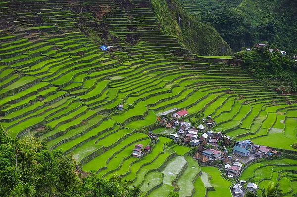 Batad rice terraces part of the world heritage sight Banaue, Luzon, Philippines