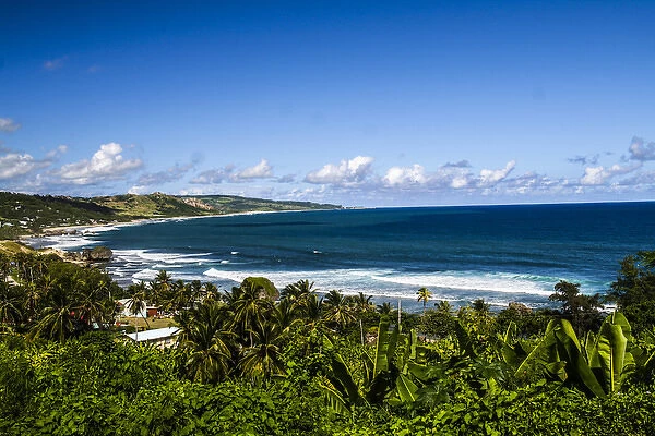 Bathsheba, Barbados. C-shaped, curved, ocean coast with surf, and palm trees