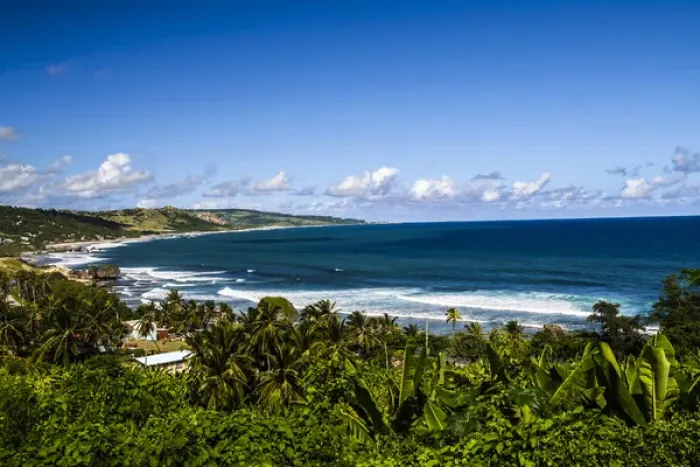 Framed Print : Bathsheba, Barbados. C-shaped, curved, ocean coast with surf, and palm trees