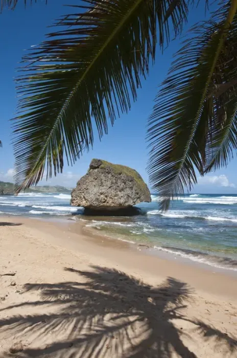 Framed Print : Bathsheba Beach Barbados, Caribbean Framed Print : Bathsheba Beach Barbados, Caribbean