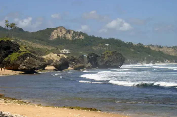 Framed Print : Bathsheba Beach on the east coast of Barbados in the Caribbean Framed Print : Bathsheba Beach on the east coast of Barbados in the Caribbean