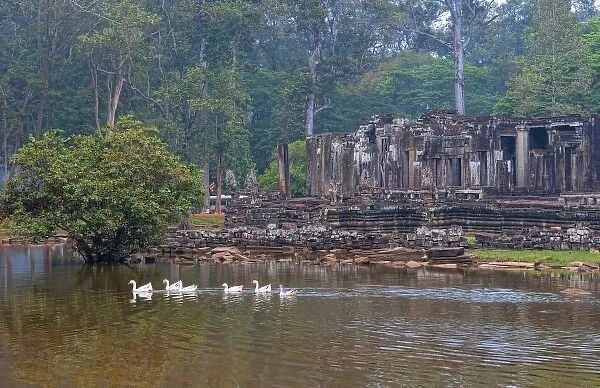 Bayon Temple with ducks in river in Siem Reap, Cambodia