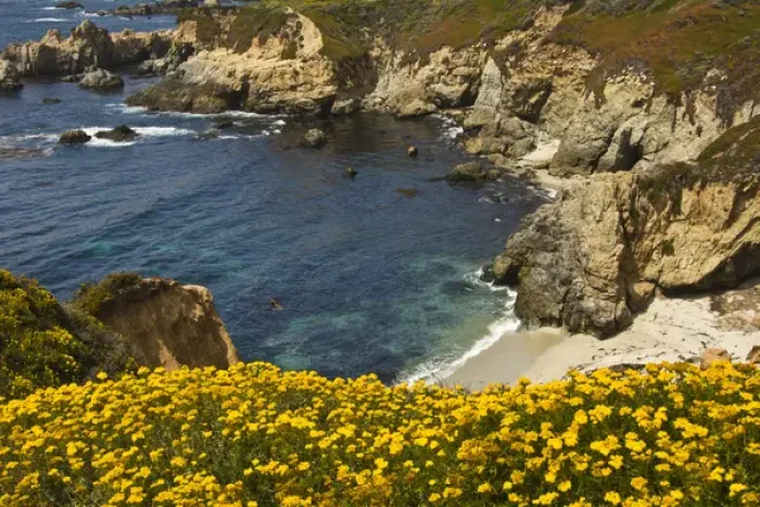 Framed Print : Beach and Cove; Garrapata State Park; California; USA Framed Print : Beach and Cove; Garrapata State Park; California; USA