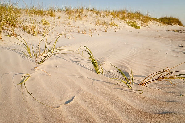 Beach and dunes, Matanzas National Monument, south of St. Augustine, Florida