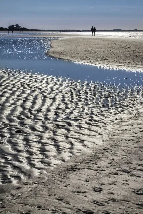 Framed Print : Beach at low tide, Honeymoon Island State Park, Dunedin, Florida, USA