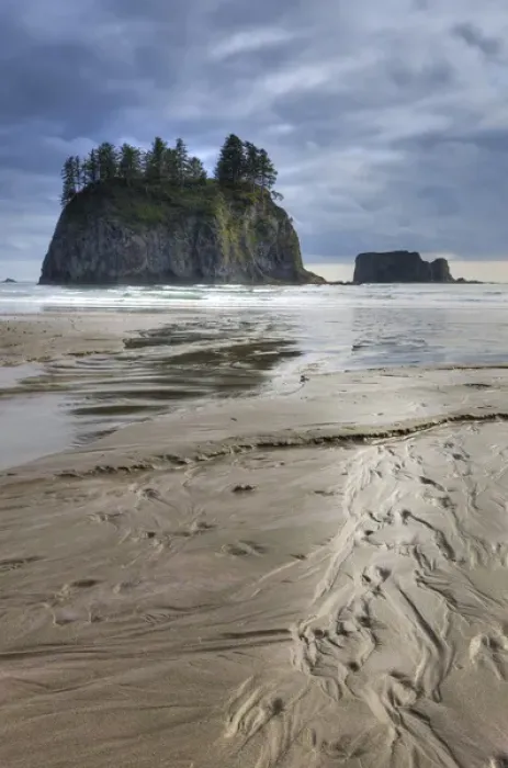 Framed Print : Beach. Olympic National Park, Washington, US Framed Print : Beach. Olympic National Park, Washington, US