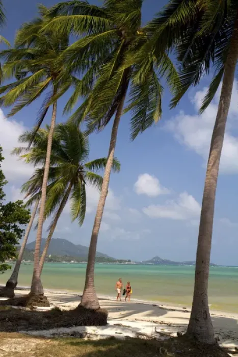 Framed Print : Beach with palm trees and the Gulf of Thailand on the island of Ko Samui, Thailand Framed Print : Beach with palm trees and the Gulf of Thailand on the island of Ko Samui, Thailand