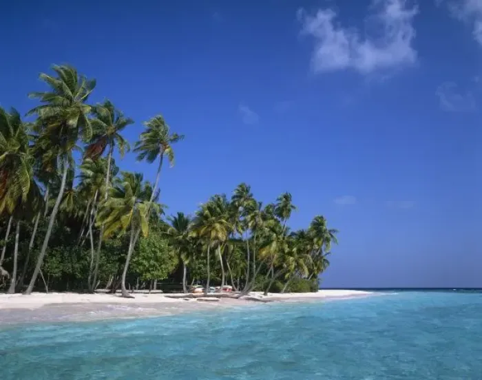 Framed Print : Beach with palm trees, Maldives Framed Print : Beach with palm trees, Maldives