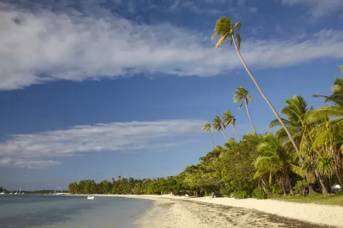 Framed Print : Beach and palm trees, Plantation Island Resort, Malolo Lailai Island, Mamanuca Islands