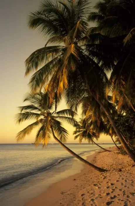 Framed Print : Beach at sunset