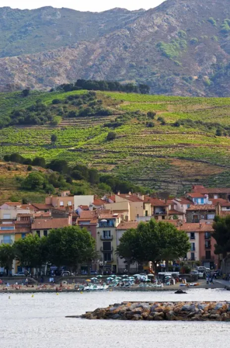 Framed Print : The beach in the village. Collioure. Roussillon. France. Europe. Vineyard